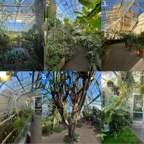 6 glasshouses
