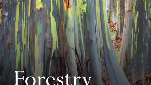 forestry journal