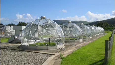 solardomes at ceh bangor 1
