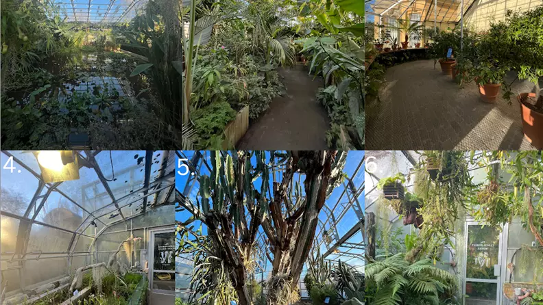 6 glasshouses