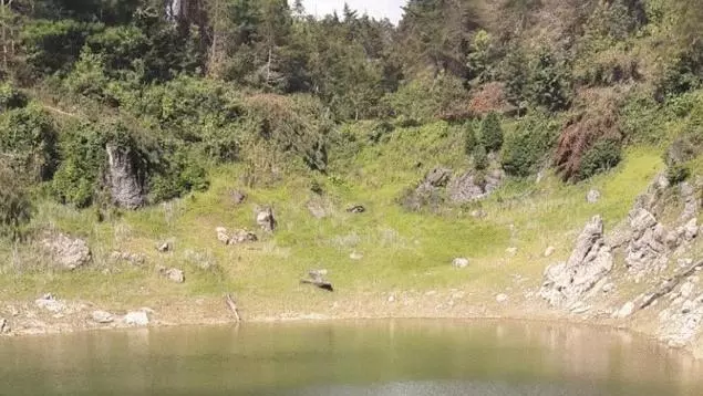 guatamala