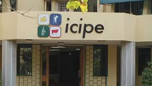 icipe