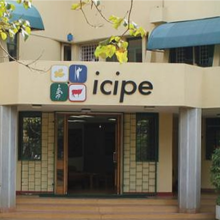 icipe