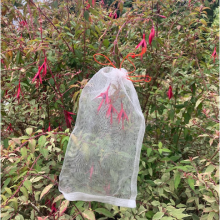bagged flowers obg