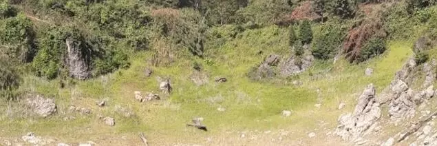 guatamala